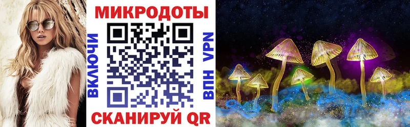 наркотики  Севастополь  Псилоцибиновые грибы Cubensis 